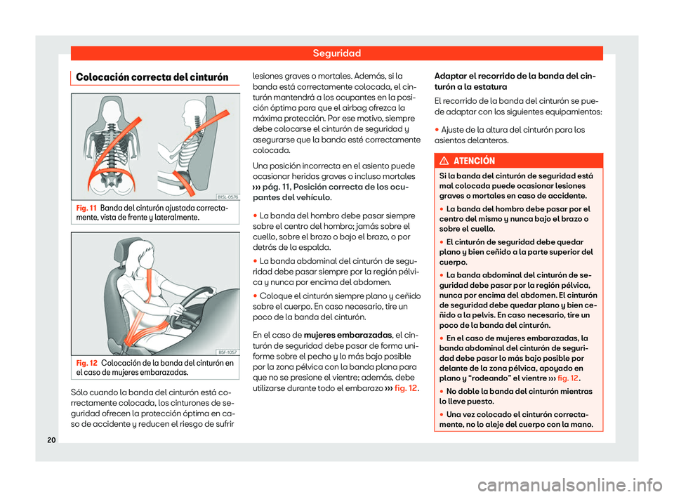 Seat Mii electric 2020  Manual de instrucciones (in Spanish) Seguridad
Colocaci