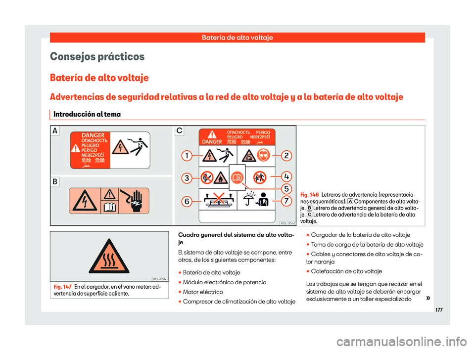 Seat Mii electric 2019  Manual de instrucciones (in Spanish) Bater