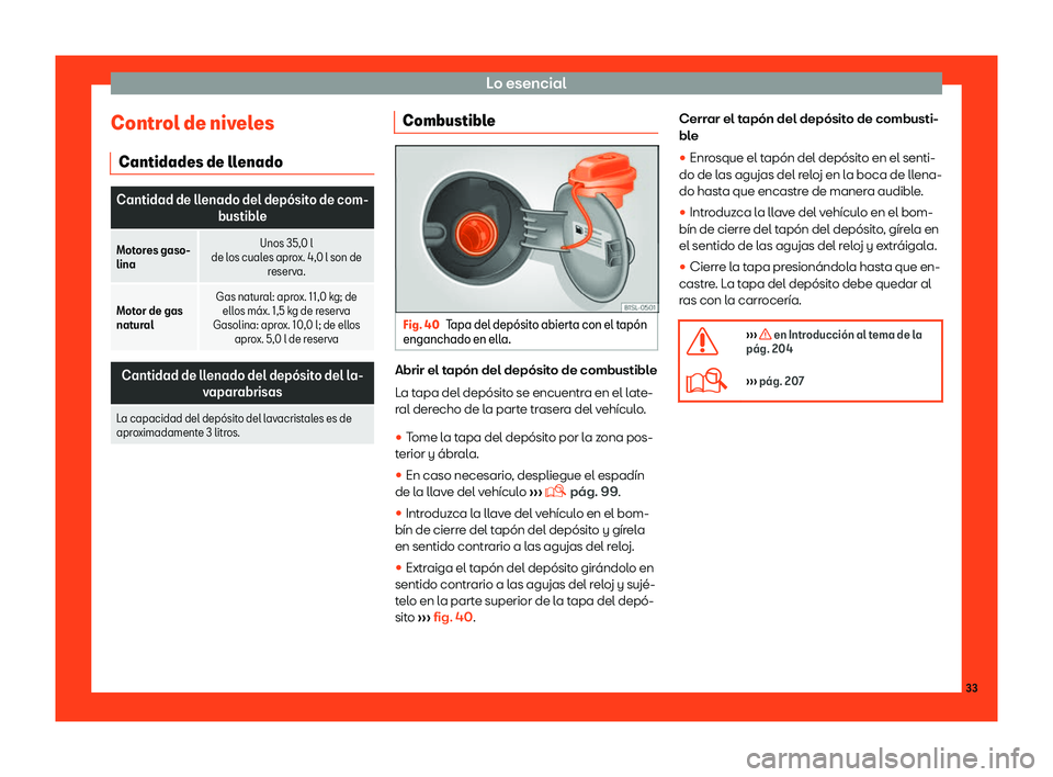 Seat Mii electric 2018  Manual de instrucciones (in Spanish) Lo esencial
Control de niveles Cantidades de ll enadoCantidad de llenado del dep