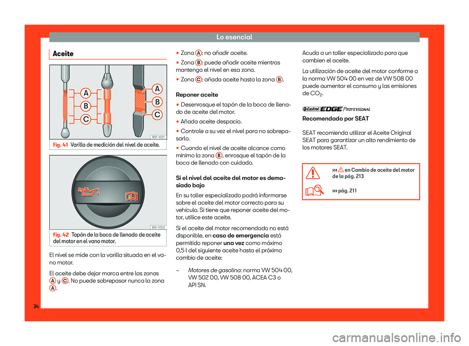 Seat Mii electric 2018  Manual de instrucciones (in Spanish) Lo esencial
Aceite Fig. 41
Varilla de medici