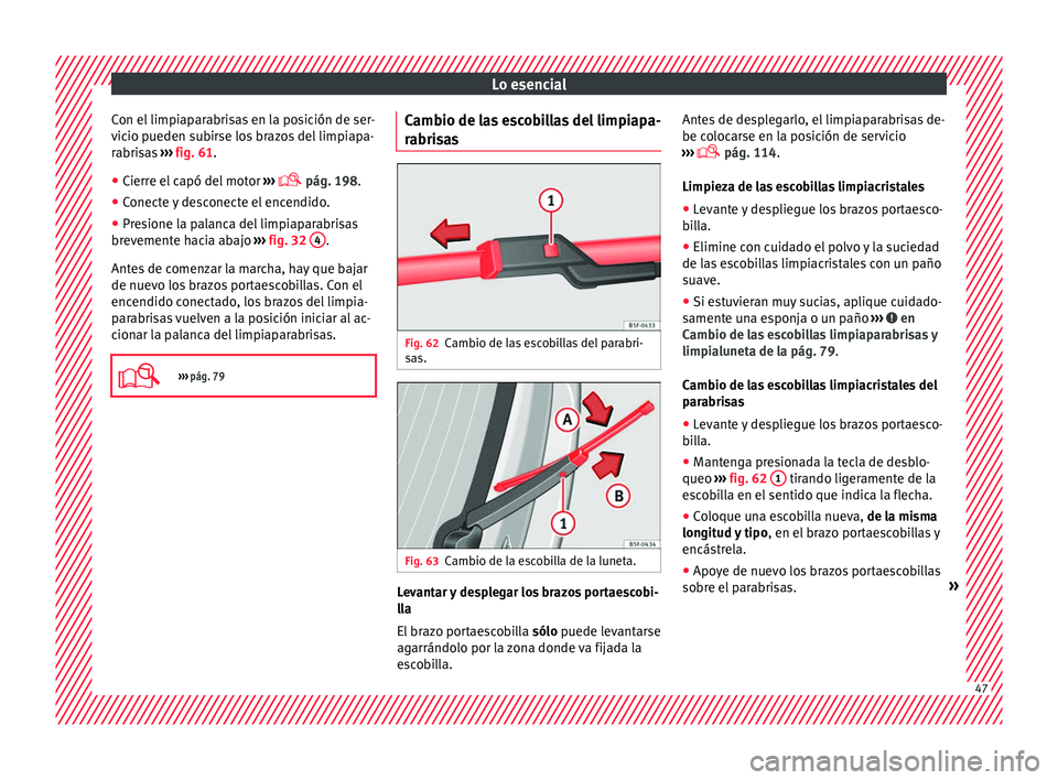 Seat Mii electric 2016 Manual de instrucciones (in Spanish) Lo esencial
Con el limpiaparabrisas en la posición de ser-
v ic
io p
ueden subirse los brazos del limpiapa-
rabrisas ››› fig. 61.
● Cierre el capó del motor ›››
pág. 198.
● Seat Mii electric 2016 Manual de instrucciones (in Spanish) Lo esencial
Con el limpiaparabrisas en la posición de ser-
v ic
io p
ueden subirse los brazos del limpiapa-
rabrisas ››› fig. 61.
● Cierre el capó del motor ›››
pág. 198.
●