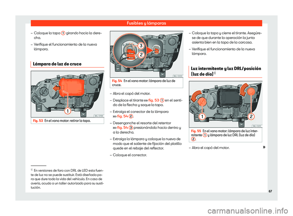 Seat Ibiza 2020  Manual de instrucciones (in Spanish) Fusibles y lámparas
�