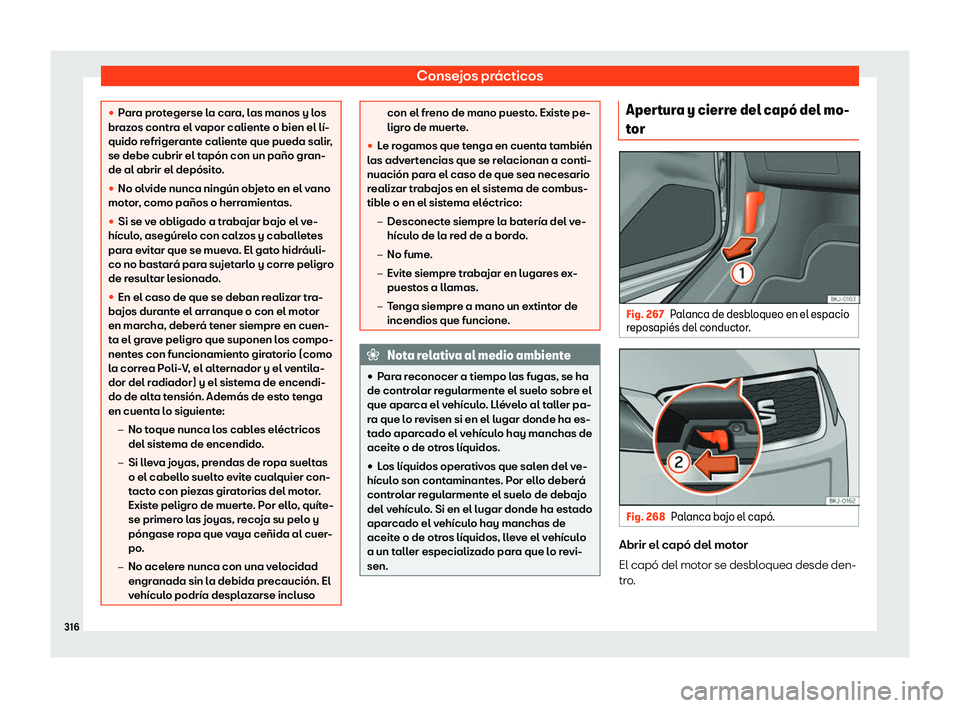 Seat Ibiza 2019 Manual de instrucciones (in Spanish) Consejos pr Seat Ibiza 2019 Manual de instrucciones (in Spanish) Consejos pr