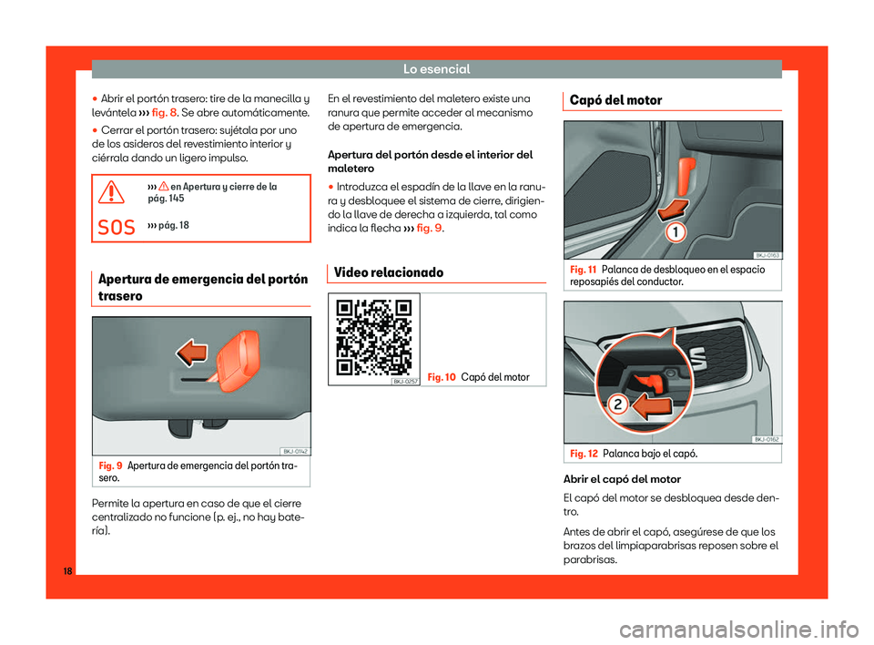 Seat Ibiza 2018  Manual de instrucciones (in Spanish) Lo esencial
