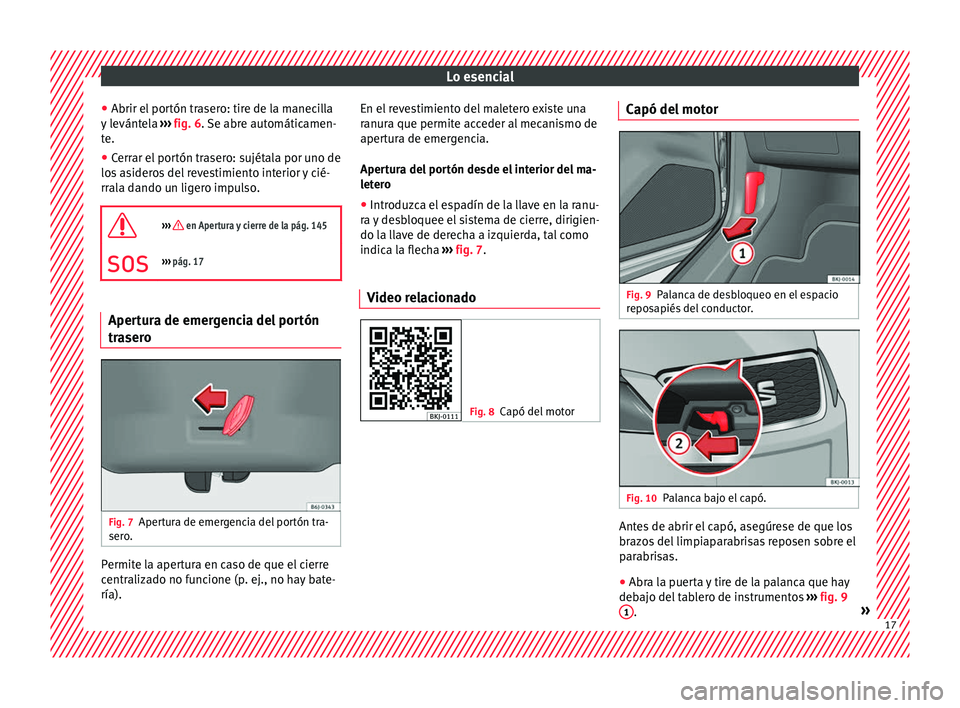 Seat Nuevo Ibiza 2017  Manual de instrucciones (in Spanish) Lo esencial
● Abrir el  por
tón tr
asero: tire de la manecilla
y levántela  ››› fig. 6. Se abre automáticamen-
te.
● Cerrar el portón trasero: sujétala por uno de
los a
 sideros del rev