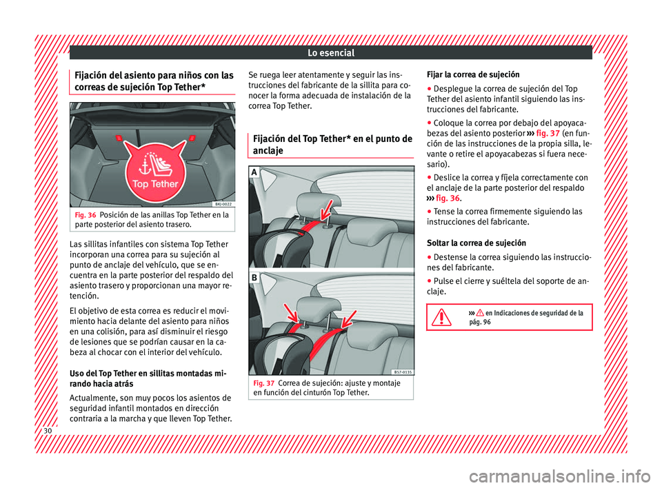 Seat Nuevo Ibiza 2017  Manual de instrucciones (in Spanish) Lo esencial
Fijación del asiento para niños con las
c orr
e
as de sujeción Top Tether* Fig. 36
Posición de las anillas Top Tether en la
p ar
t

e posterior del asiento trasero. Las sillitas infant