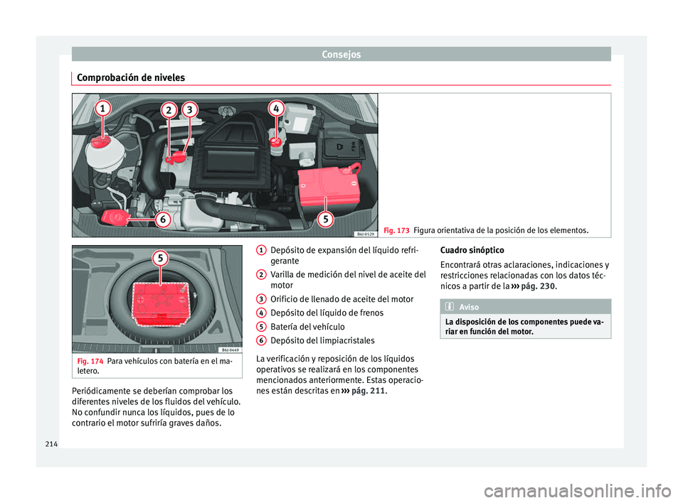 Seat Ibiza SC 2016 Manual de instrucciones (in Spanish) Consejos
Comprobación de niveles Fig. 173
Figura orientativa de la posición de los elementos. Fig. 174
Para vehículos con batería en el ma-
let er
o. Periódicamente se deberían comprobar los
dif Seat Ibiza SC 2016 Manual de instrucciones (in Spanish) Consejos
Comprobación de niveles Fig. 173
Figura orientativa de la posición de los elementos. Fig. 174
Para vehículos con batería en el ma-
let er
o. Periódicamente se deberían comprobar los
dif