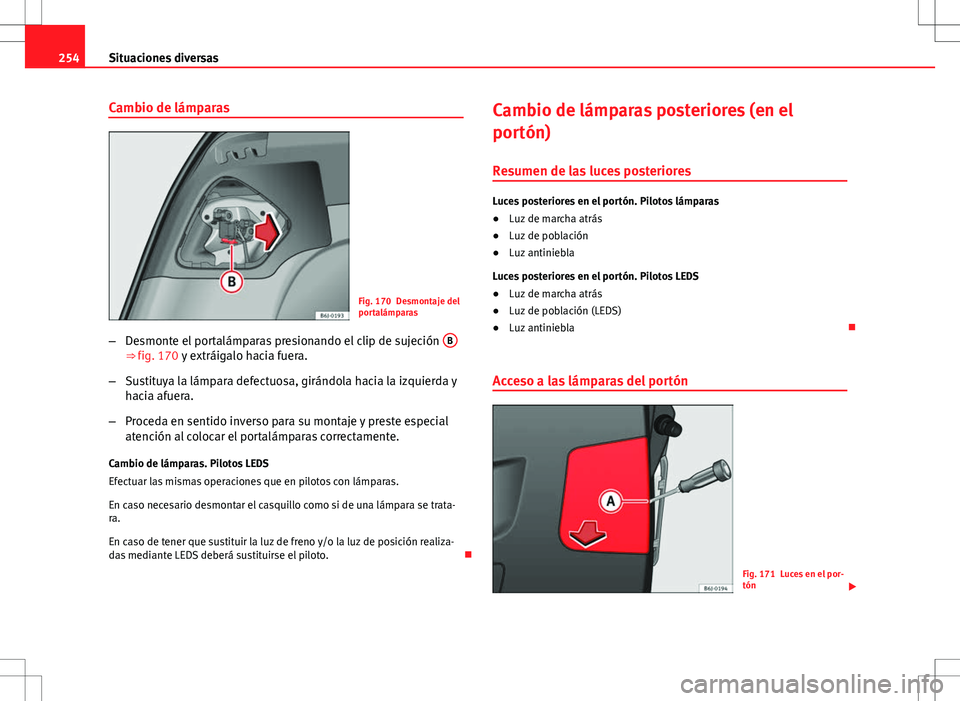 Seat Ibiza ST 2010 Manual de instrucciones (in Spanish) 254Situaciones diversas
Cambio de lámparas
Fig. 170 Desmontaje del
portalámparas
– Desmonte el portalámparas presionando el clip de sujeción B
⇒ fig. 170 y extráigalo hacia fuera.
– Sust Seat Ibiza ST 2010 Manual de instrucciones (in Spanish) 254Situaciones diversas
Cambio de lámparas
Fig. 170 Desmontaje del
portalámparas
– Desmonte el portalámparas presionando el clip de sujeción B
⇒ fig. 170 y extráigalo hacia fuera.
– Sust
