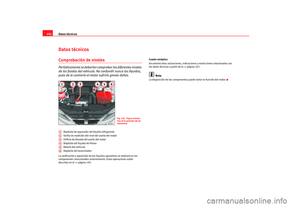 Seat Ibiza 5D 2008  Manual de instrucciones (in Spanish) Datos técnicos
252Datos técnicosComprobación de nivelesPeriódicamente se deberían co mprobar los diferentes niveles 
de los fluidos del vehículo. No confundir nunca los líquidos, 
pues de lo co
