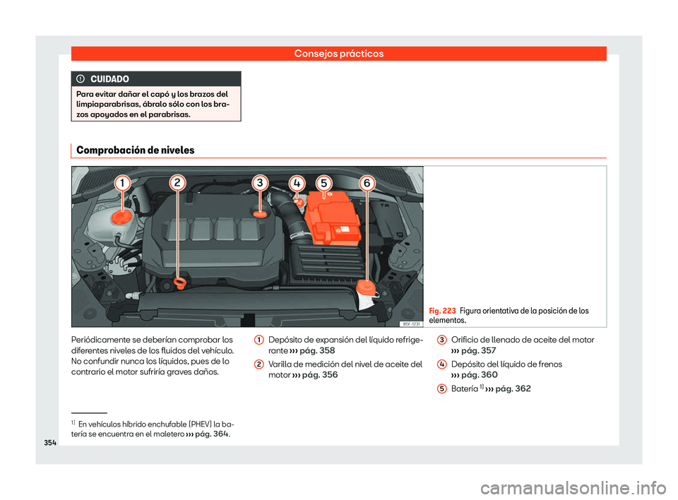 Seat Leon 2020  Manual de instrucciones (in Spanish) Consejos prácticos
CUIDADO
Para evitar dañar el capó y los brazos del
limpiapar abrisas, ábr
alo sólo con los bra-
zos apoyados en el parabrisas. Comprobaci