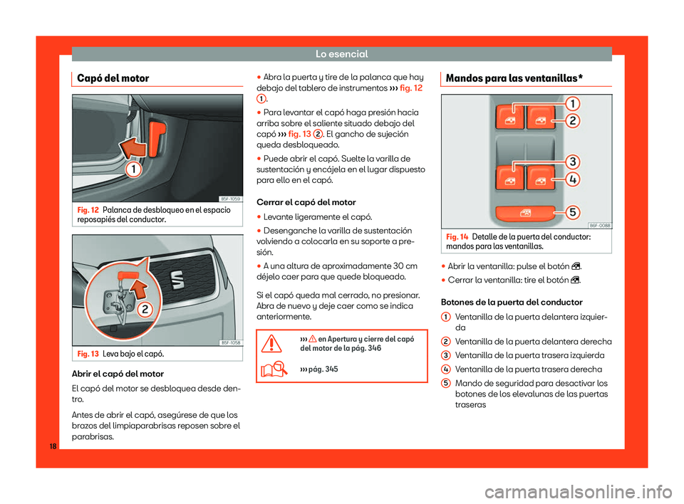 Seat Leon 2018  Manual de instrucciones (in Spanish) Lo esencial
Cap