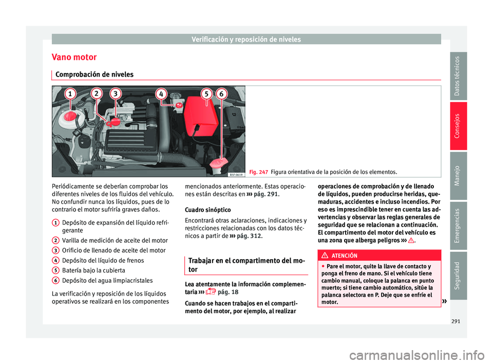 Seat Leon Sportstourer 2017  Manual de instrucciones (in Spanish) Verificación y reposición de niveles
Vano motor C ompr
o
bación de niveles Fig. 247
Figura orientativa de la posición de los elementos. Periódicamente se deberían comprobar los
dif
er
ent

es ni