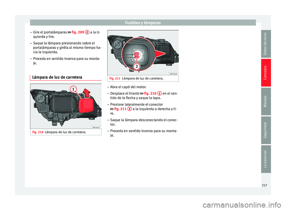 Seat Leon Sportstourer 2014 Manual de instrucciones (in Spanish) Fusibles y lámparas
– Gire el portalámparas ››› fig. 209 2 a la iz-
quierda y tire.
– Saque la lámpara presionando sobre el
portalámparas y giréla al mismo tiempo ha-
cia la izquierd Seat Leon Sportstourer 2014 Manual de instrucciones (in Spanish) Fusibles y lámparas
– Gire el portalámparas ››› fig. 209 2 a la iz-
quierda y tire.
– Saque la lámpara presionando sobre el
portalámparas y giréla al mismo tiempo ha-
cia la izquierd