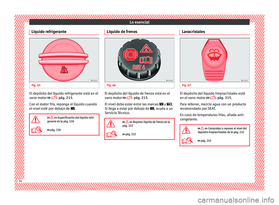 Seat Leon Sportstourer 2014 Manual de instrucciones (in Spanish) Lo esencial
Líquido refrigerante Fig. 45
El depósito del líquido refrigerante está en el
vano motor
›››
pág. 215
.
C on el
motor frío, reponga el líquido cuando
el nivel esté po Seat Leon Sportstourer 2014 Manual de instrucciones (in Spanish) Lo esencial
Líquido refrigerante Fig. 45
El depósito del líquido refrigerante está en el
vano motor
›››
pág. 215
.
C on el
motor frío, reponga el líquido cuando
el nivel esté po