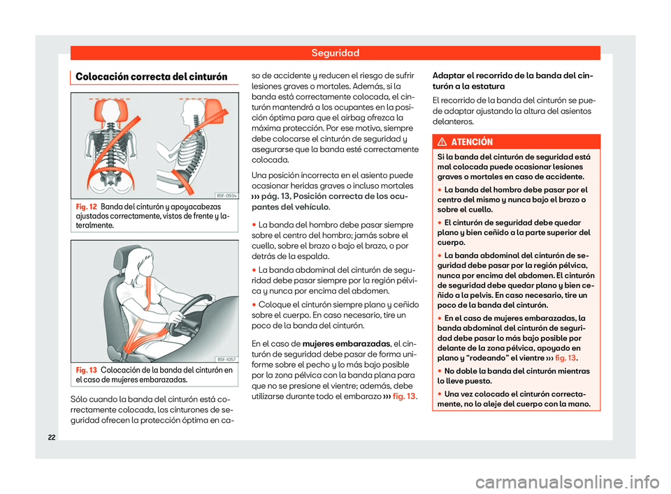 Seat Arona 2020  Manual de instrucciones (in Spanish) Seguridad
Colocaci