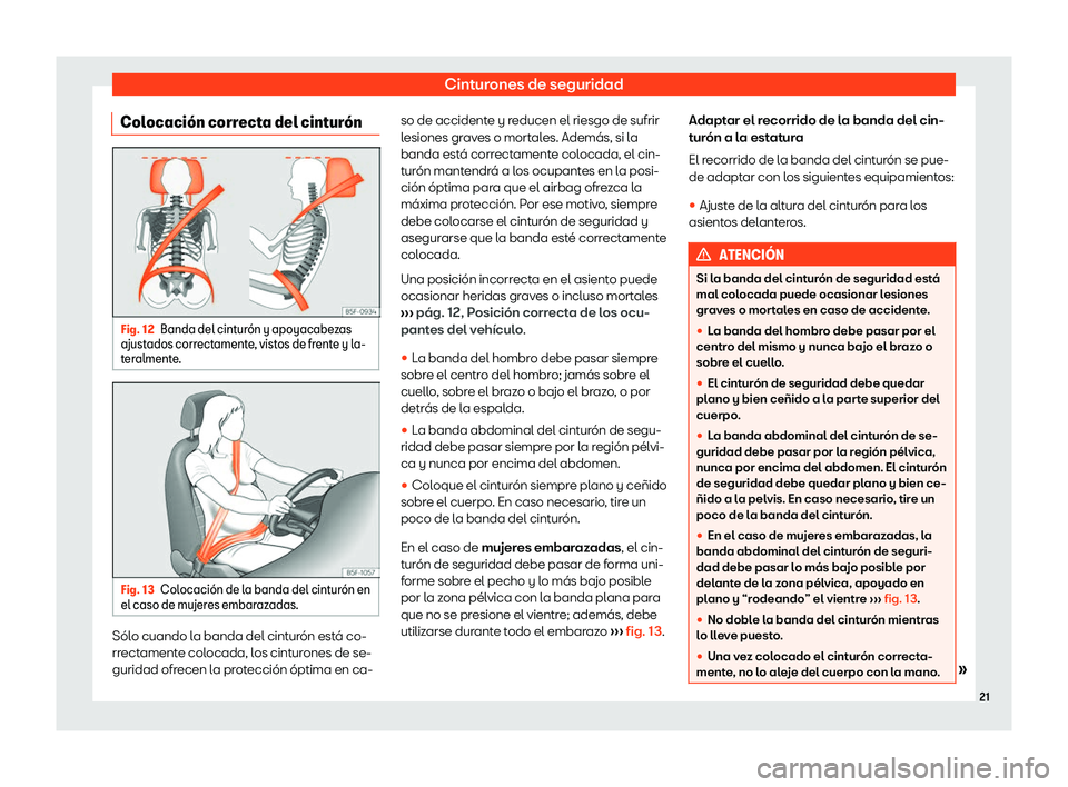 Seat Arona 2019  Manual de instrucciones (in Spanish) Cinturones de seguridad
Colocaci