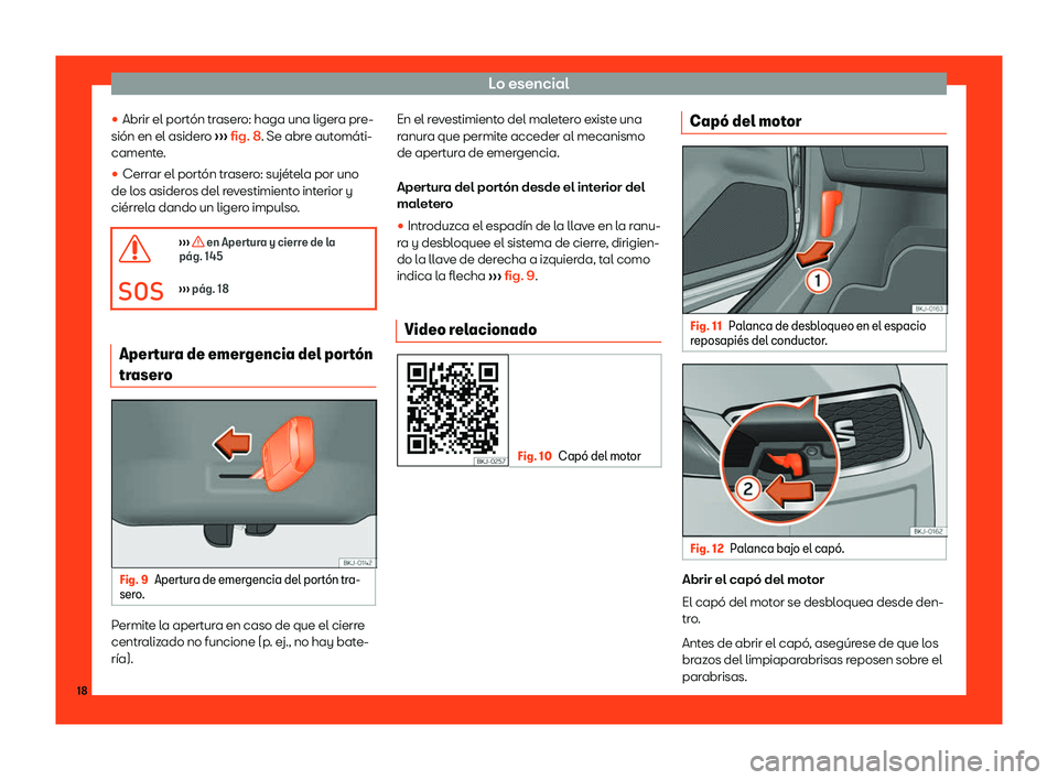 Seat Arona 2018  Manual de instrucciones (in Spanish) Lo esencial

