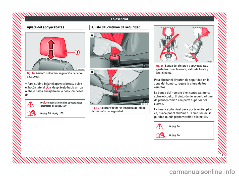 Seat Arona 2017 Manual de instrucciones (in Spanish) Lo esencial
Ajuste del apoyacabezas Fig. 14
Asiento delantero: regulación del apo-
y ac
abez
as. ●
Para subir o bajar el apoyacabezas, pulse
el botón l
at
eral 1 y desplácelo hacia arriba
o ab Seat Arona 2017 Manual de instrucciones (in Spanish) Lo esencial
Ajuste del apoyacabezas Fig. 14
Asiento delantero: regulación del apo-
y ac
abez
as. ●
Para subir o bajar el apoyacabezas, pulse
el botón l
at
eral 1 y desplácelo hacia arriba
o ab