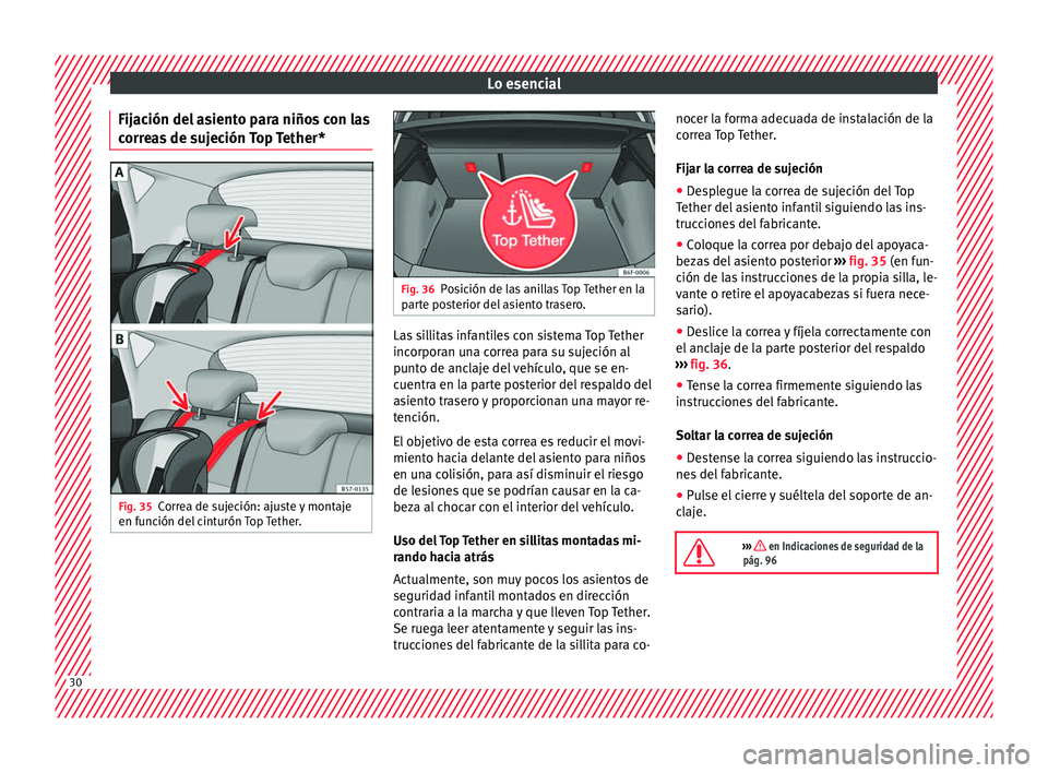 Seat Arona 2017 Manual de instrucciones (in Spanish) Lo esencial
Fijación del asiento para niños con las
c orr
e
as de sujeción Top Tether* Fig. 35
Correa de sujeción: ajuste y montaje
en f u
nc
ión del cinturón Top Tether. Fig. 36
Posición de l Seat Arona 2017 Manual de instrucciones (in Spanish) Lo esencial
Fijación del asiento para niños con las
c orr
e
as de sujeción Top Tether* Fig. 35
Correa de sujeción: ajuste y montaje
en f u
nc
ión del cinturón Top Tether. Fig. 36
Posición de l