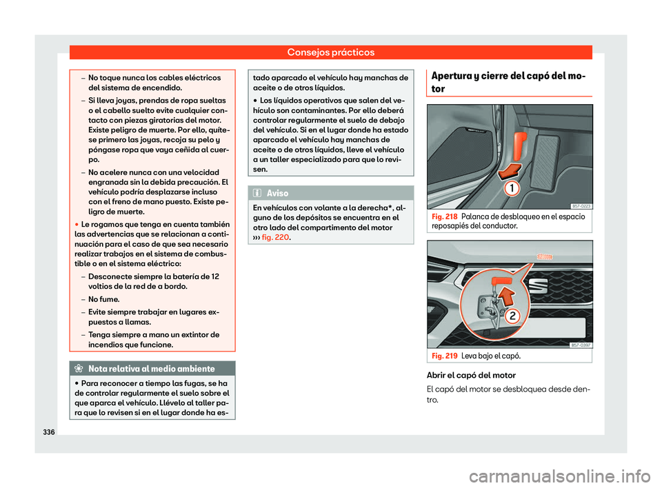 Seat Ateca 2020  Manual de instrucciones (in Spanish) Consejos prácticos
�