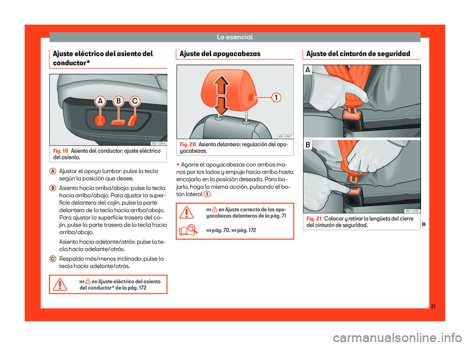 Seat Ateca 2018  Manual de instrucciones (in Spanish) Lo esencial
Ajuste el