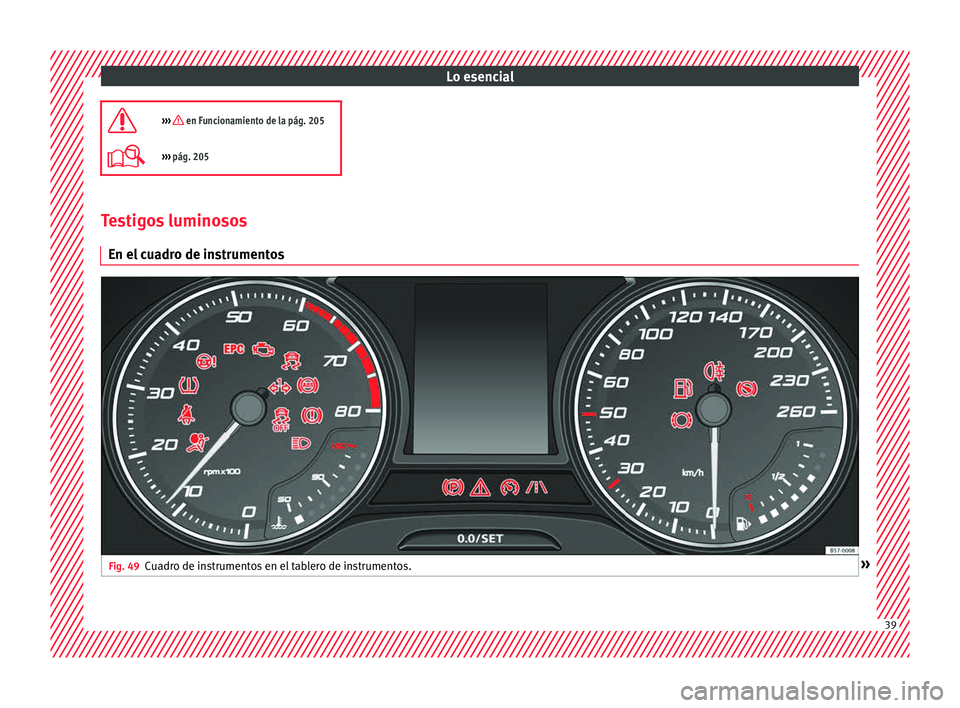 Seat Ateca 2016  Manual de instrucciones (in Spanish) Lo esencial
›››  en Funcionamiento de la pág. 205
›››  pág. 205 Testigos luminosos
En el  c
ua

dro de instrumentosFig. 49
Cuadro de instrumentos en el tablero de instrumentos. » 