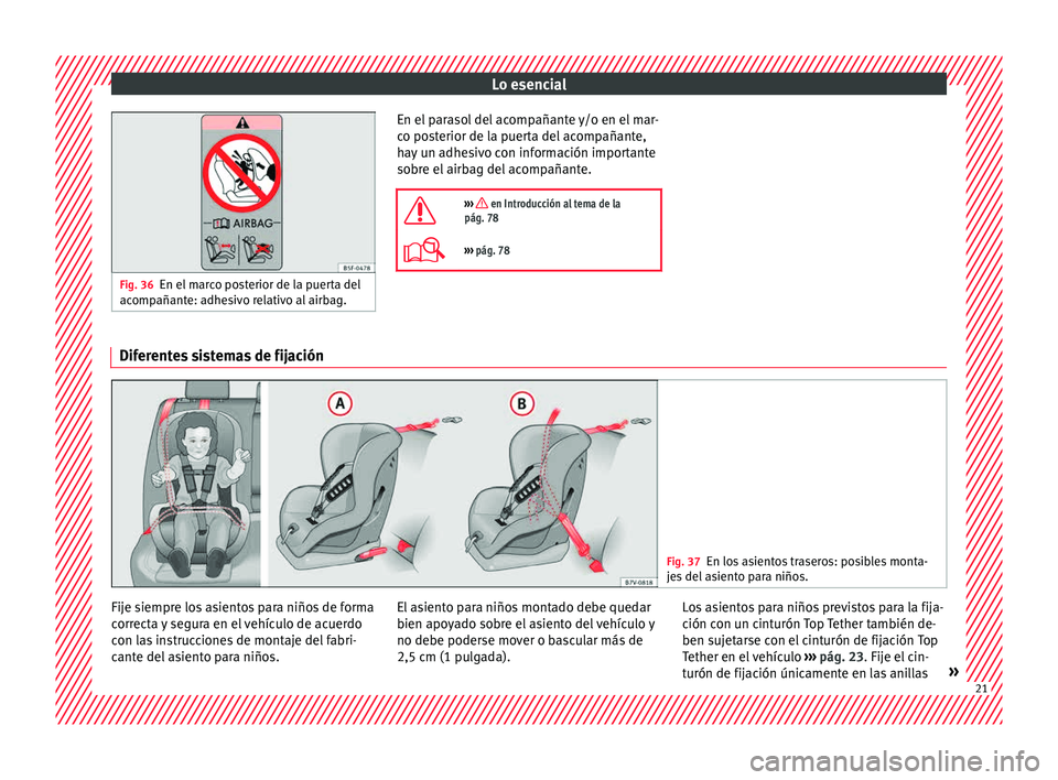 Seat Alhambra 2015  Manual de instrucciones (in Spanish) Lo esencial
Fig. 36
En el marco posterior de la puerta del
acomp añant
e: adhesivo relativo al airbag. En el parasol del acompañante y/o en el mar-
c
o po
s

terior de la puerta del acompañante,
ha