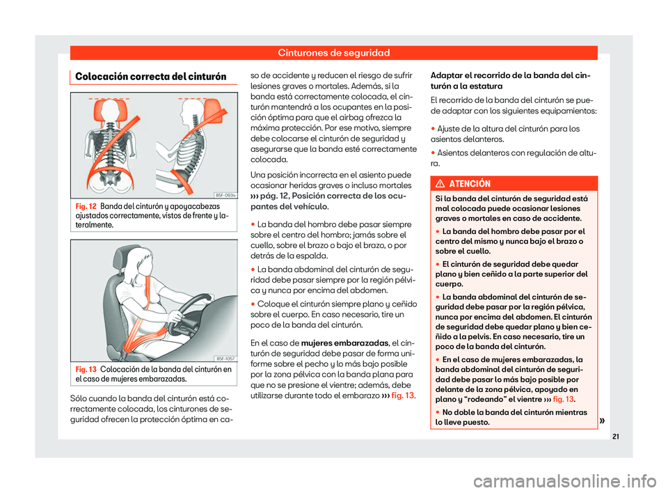 Seat Tarraco 2019  Manual de instrucciones (in Spanish) Cinturones de seguridad
Colocaci