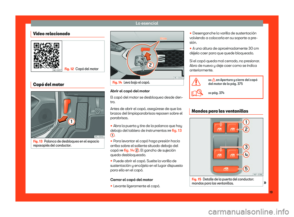 Seat Tarraco 2018  Manual de instrucciones (in Spanish) Lo esencial
Video relacionado Fig. 12
Cap