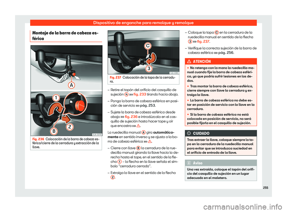 Seat Toledo 2018  Manual de instrucciones (in Spanish) Dispositivo de enganche para remolque y remolque
Montaje de la barra de cabeza es-
f 