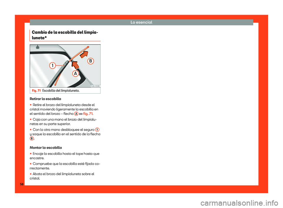 Seat Toledo 2018  Manual de instrucciones (in Spanish) Lo esencial
Cambio de la escobilla del limpia-
lunet a* Fig. 71
Escobilla del limpialuneta. Retirar la escobilla
