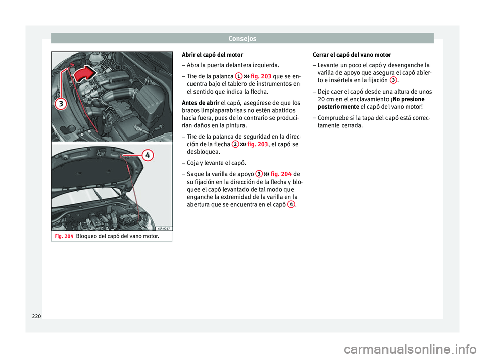 Seat Toledo 2017 Manual de instrucciones (in Spanish) Consejos
Fig. 204
Bloqueo del capó del vano motor. Abrir el capó del motor
–
Abra la puerta delantera izquierda.
– Tire de la palanca 1
› ››
fig. 203
que se en-
c
uentra bajo el table Seat Toledo 2017 Manual de instrucciones (in Spanish) Consejos
Fig. 204
Bloqueo del capó del vano motor. Abrir el capó del motor
–
Abra la puerta delantera izquierda.
– Tire de la palanca 1
› ››
fig. 203
que se en-
c
uentra bajo el table
