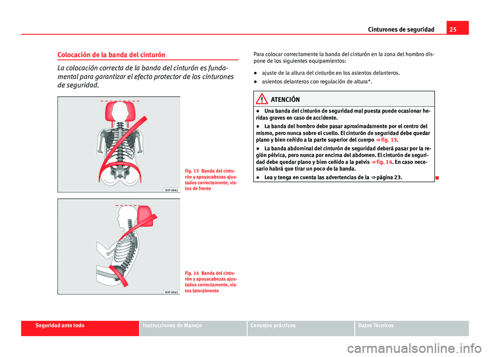 Seat Exeo 2010 Manual de instrucciones (in Spanish) 25
Cinturones de seguridad
Colocación de la banda del cinturón
La colocación correcta de la banda del cinturón es funda-
mental para garantizar el efecto protector de los cinturones
de seguridad.
Seat Exeo 2010 Manual de instrucciones (in Spanish) 25
Cinturones de seguridad
Colocación de la banda del cinturón
La colocación correcta de la banda del cinturón es funda-
mental para garantizar el efecto protector de los cinturones
de seguridad.