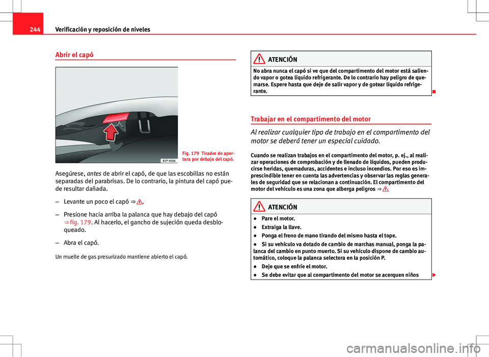 Seat Exeo ST 2012 Manual de instrucciones (in Spanish) 244Verificación y reposición de niveles
Abrir el capó
Fig. 179 Tirador de aper-
tura por debajo del capó.
Asegúrese, antes de abrir el capó, de que las escobillas no están
separadas del parabri Seat Exeo ST 2012 Manual de instrucciones (in Spanish) 244Verificación y reposición de niveles
Abrir el capó
Fig. 179 Tirador de aper-
tura por debajo del capó.
Asegúrese, antes de abrir el capó, de que las escobillas no están
separadas del parabri