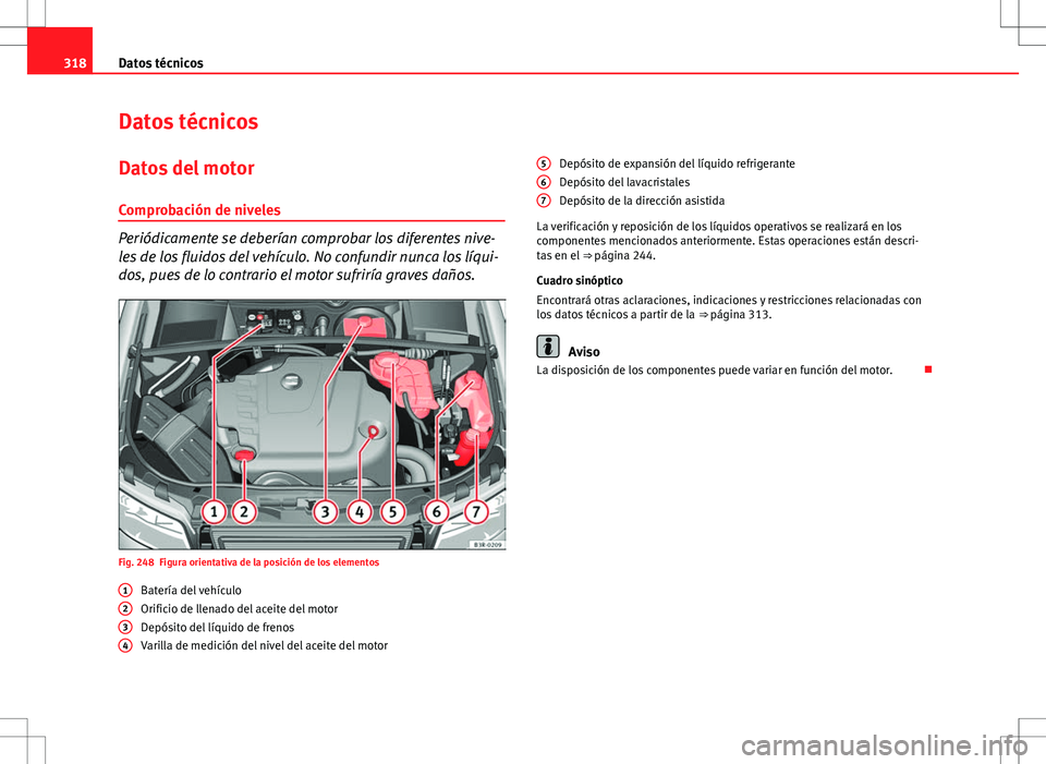 Seat Exeo ST 2012  Manual de instrucciones (in Spanish) 318Datos técnicos
Datos técnicos
Datos del motor
Comprobación de niveles
Periódicamente se deberían comprobar los diferentes nive-
les de los fluidos del vehículo. No confundir nunca los líqui-
