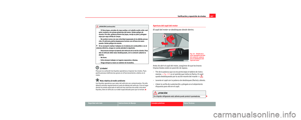 Seat Cordoba 2006  Manual de instrucciones (in Spanish) Verificación y reposición de niveles187
Seguridad ante todoInstrucciones de ManejoConsejos prácticosDatos Técnicos
−
Si lleva joyas, prendas de ropa sueltas o el cabello suelto evite cual-
quier