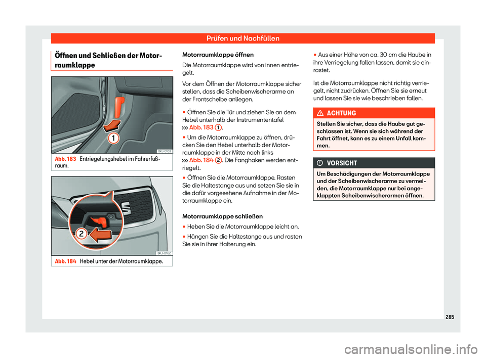 Seat Ibiza 2020  Betriebsanleitung (in German) Prüfen und Nachfüllen
