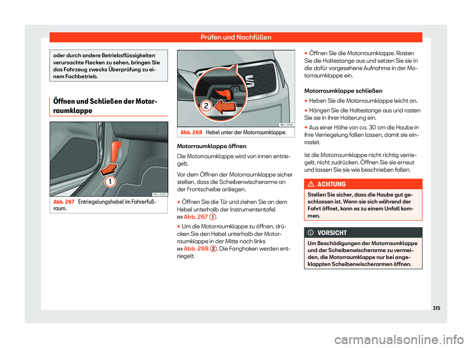 Seat Ibiza 2019  Betriebsanleitung (in German) Prüfen und Nachfüllen
oder durch andere Betriebsflüssigkeiten
v
erursacht
e Flecken zu sehen, bringen Sie
das Fahrzeug zwecks Überprüfung zu ei-
nem Fachbetrieb. 