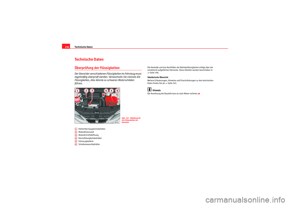 Seat Ibiza ST 2009  Betriebsanleitung (in German) Technische Daten
246Technische DatenÜberprüfung der FlüssigkeitenDer Stand der verschiedenen Flüssigkeiten im Fahrzeug muss 
regelmäßig überprüft werden. Verwechseln Sie niemals die 
Flüssigk