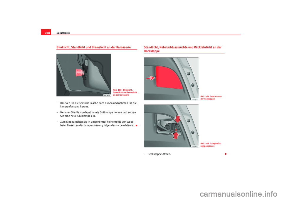 Seat Leon 5D 2005  Betriebsanleitung (in German) Selbsthilfe
248Blinklicht, Standlicht und Bremslicht an der Karosserie– Drücken Sie die seitliche Lasche nach außen und nehmen Sie die 
Lampenfassung heraus.
– Nehmen Sie die durchgebrannte Glü
