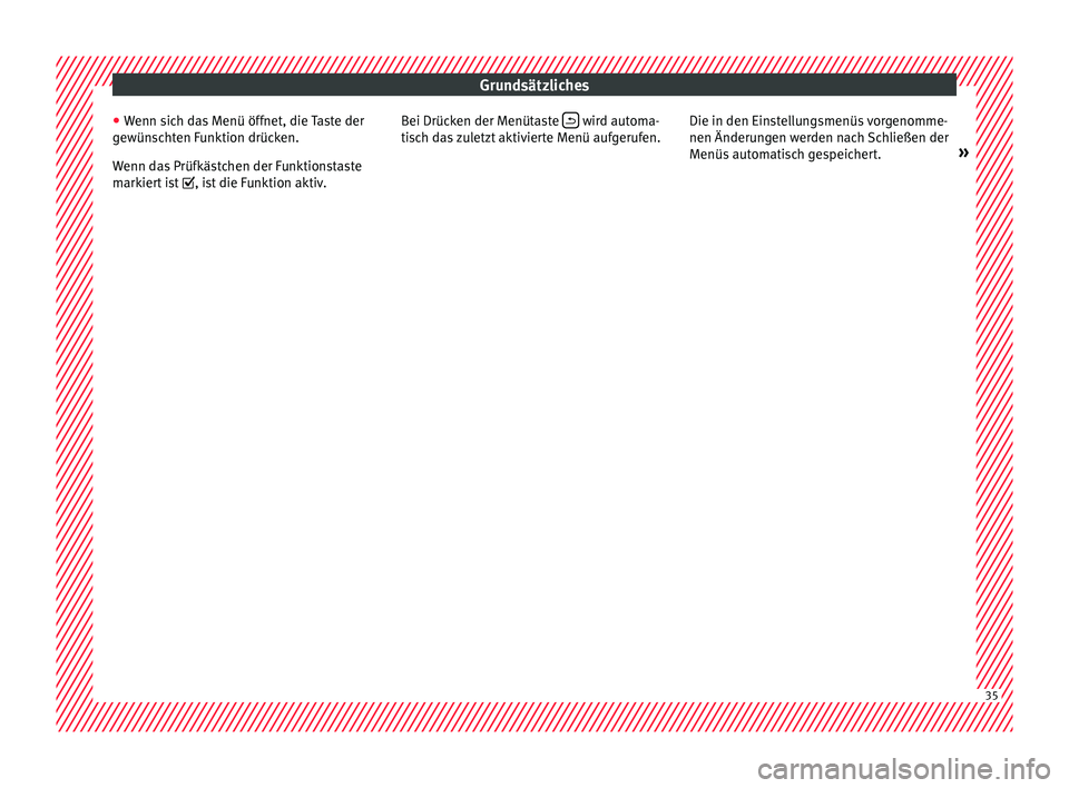 Seat Arona 2017  Betriebsanleitung (in German) Grundsätzliches
● Wenn s
ic
h das Menü öffnet, die Taste der
gewünschten Funktion drücken.
Wenn das Prüfkästchen der Funktionstaste
markiert ist  , ist die Funktion aktiv. Bei Drücken der