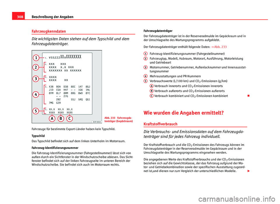 Seat Exeo 2009  Betriebsanleitung (in German) 308Beschreibung der Angaben
Fahrzeugkenndaten
Die wichtigsten Daten stehen auf dem Typschild und dem
Fahrzeugdatenträger.
Abb. 233  Fahrzeugda-
tenträger (Gepäckraum)
Fahrzeuge für bestimmte Expor