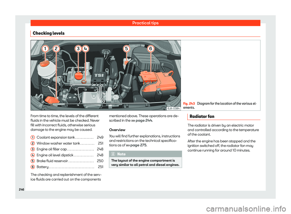 SEAT TOLEDO 2019  Owners Manual Practical tips
Checking levels Fig. 243 
Diagram for the location of the various el-
ements. From time to time, the levels of the different
fluids in the v
ehicl
e must be check
ed. Never
fill with in