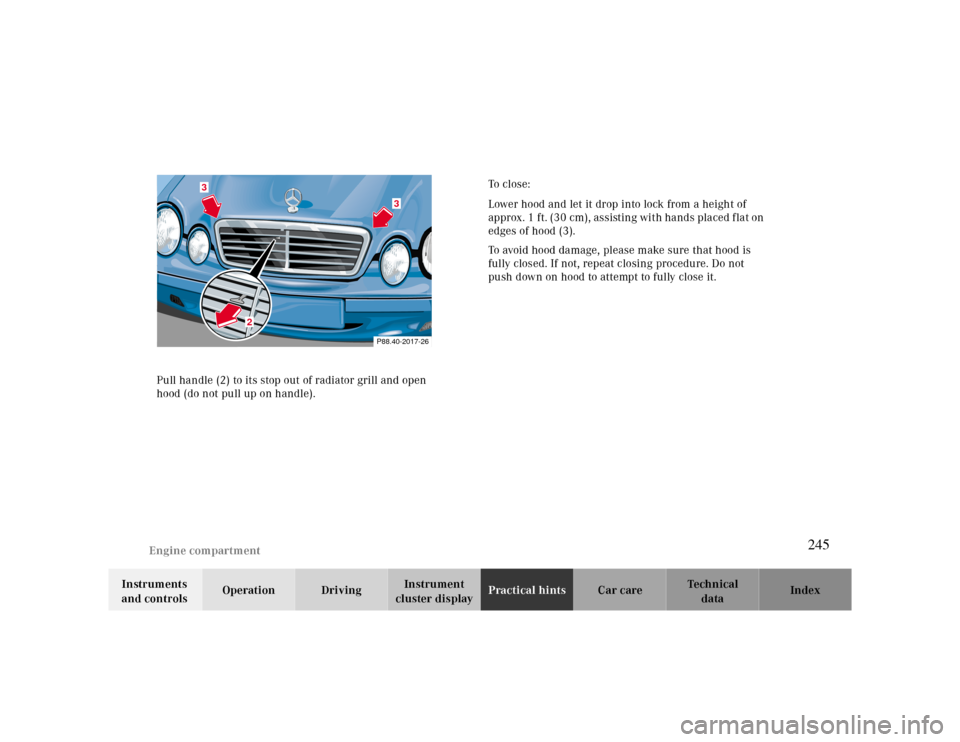 MERCEDES-BENZ CLK CABRIOLET 2000 A208 Owners Manual Engine compartment
Te ch n ica l
data Instruments 
and controlsOperation DrivingInstrument 
cluster displayPractical hintsCar care Index Pull handle (2) to its stop out of radiator grill and open 
hoo