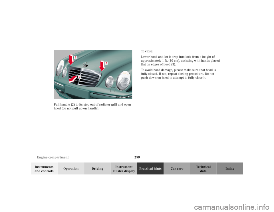 MERCEDES-BENZ E320 2000 W210 Owners Manual 259 Engine compartment
Te ch n ica l
data Instruments
and controlsOperation DrivingInstrument
cluster displayPractical hintsCar care Index Pull handle (2) to its stop out of radiator grill and open MERCEDES-BENZ E320 2000 W210 Owners Manual 259 Engine compartment
Te ch n ica l
data Instruments
and controlsOperation DrivingInstrument
cluster displayPractical hintsCar care Index Pull handle (2) to its stop out of radiator grill and open
