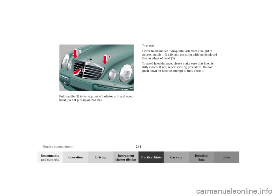 MERCEDES-BENZ E430 2002 W210 Owners Manual 261 Engine compartment
Technical
data Instruments 
and controlsOperation DrivingInstrument 
cluster displayPractical hintsCar care Index Pull handle (2) to its stop out of radiator grill and open 
hoo