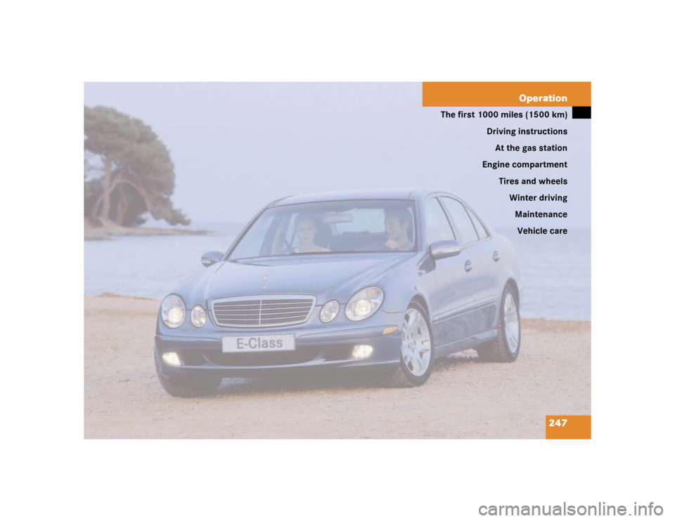 MERCEDES-BENZ E320 2003 W211 Owners Manual 247 Operation
The first 1000 miles (1500 km)
Driving instructions
At the gas station
Engine compartment
Tires and wheels
Winter driving
Maintenance
Vehicle care 