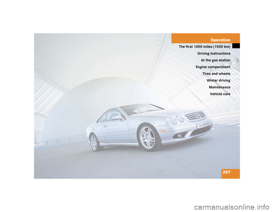 MERCEDES-BENZ CL600 2005 C215 Owners Manual 257 Operation
The first 1000 miles (1500 km)
Driving instructions
At the gas station
Engine compartment
Tires and wheels
Winter driving
Maintenance
Vehicle care 