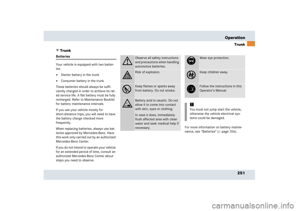 MERCEDES-BENZ SLR 2006 R199 Owners Manual 251 OperationTrunk
Trunk
Batteries
Your vehicle is equipped with two batter-
ies.
Starter battery in the trunk

Consumer battery in the trunk
These batteries should always be suffi-
ciently charged