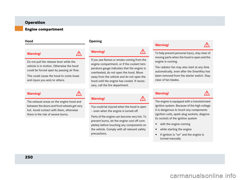 MERCEDES-BENZ SLR 2007 R199 Owners Manual 250 Operation
Engine compartment
Hood Opening
Warning!G
Do not pull the release lever while the 
vehicle is in motion. Otherwise the hood 
could be forced open by passing air flow.
This could cause th